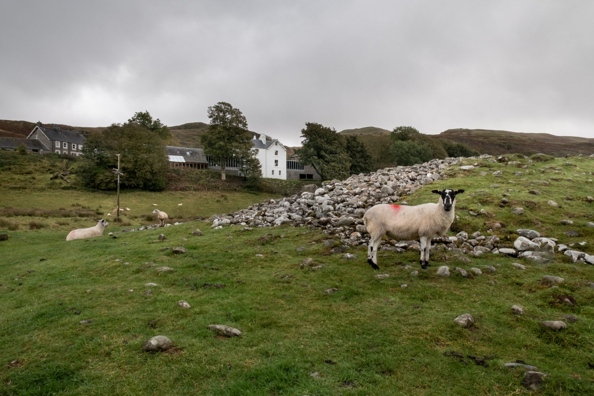 Kilmartin Museum Scottish Design Awards 2024