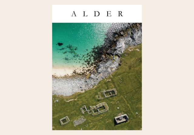 250327 Sda Alder 02