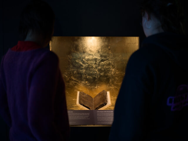 6 Additional Image Codex Regius