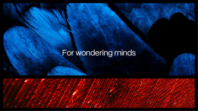 Artboard 1 Copy