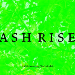 Ashrise Cs