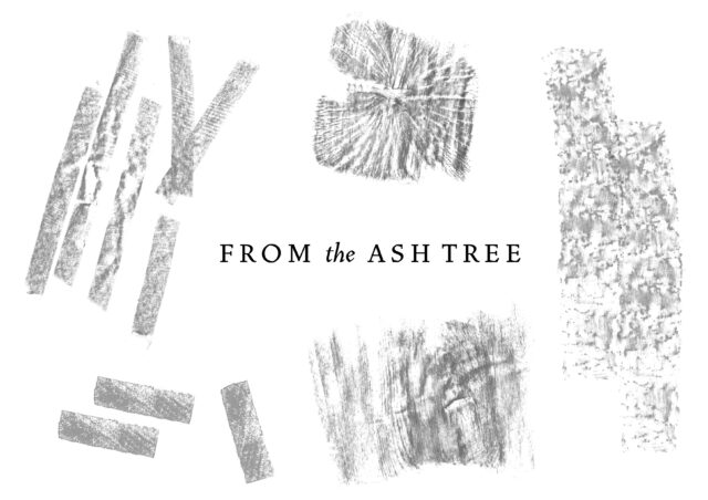 Ashrise Cs3