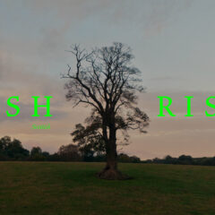 Ashrise Opening