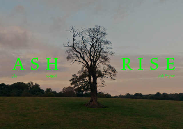 Ashrise Opening