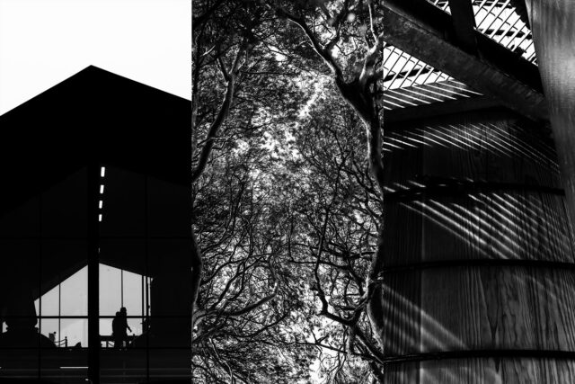 Bw Photography 6