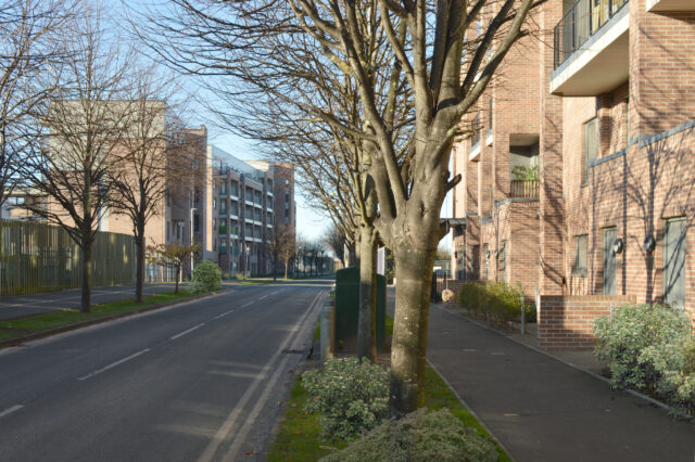 Image 06