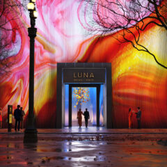 Luna Digitalgallery Featuredimage1