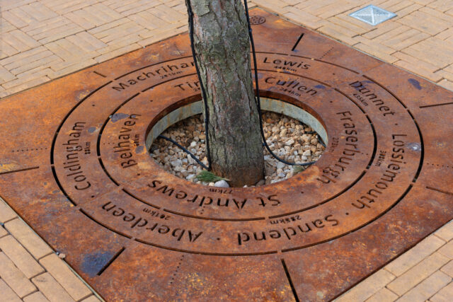 Tree Ring