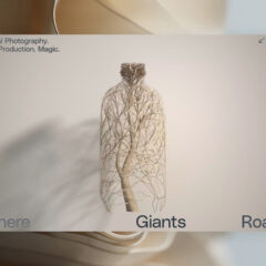 01 Homepage