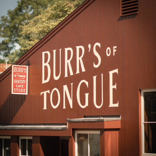 Nick Law.burrs.sept.24 8289 2