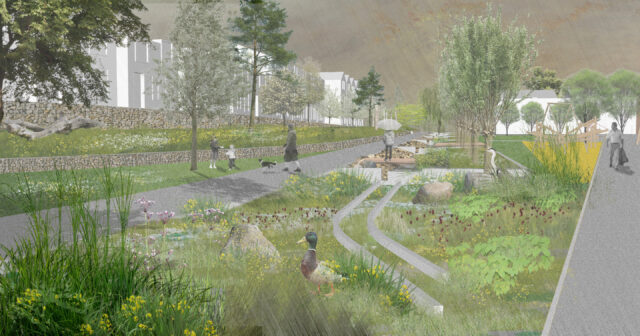 Erz 22 27 Linear Wetland Visual