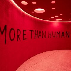 More Than Human At The Design Museum Courtesy Of The Design Museum Photo By Luke Hayes