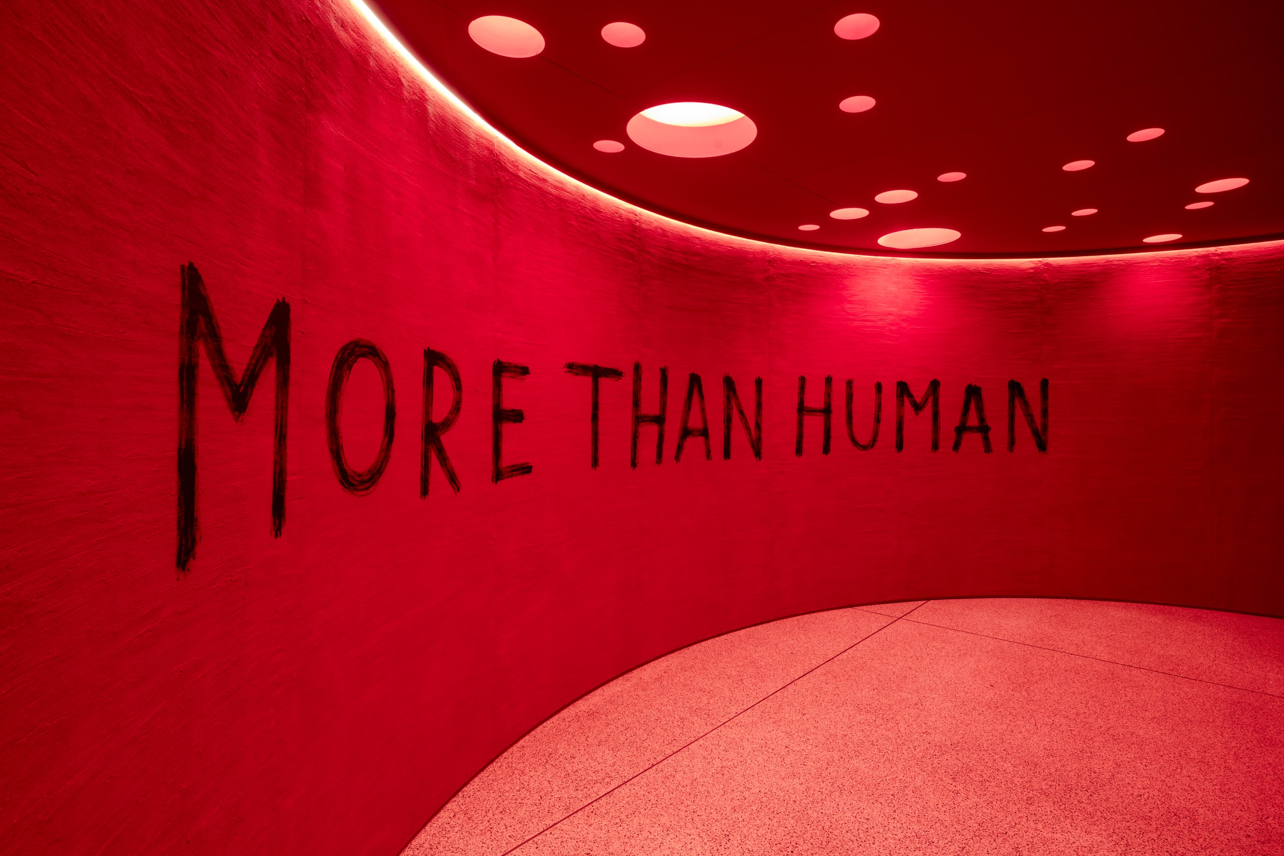 More Than Human At The Design Museum Courtesy Of The Design Museum Photo By Luke Hayes